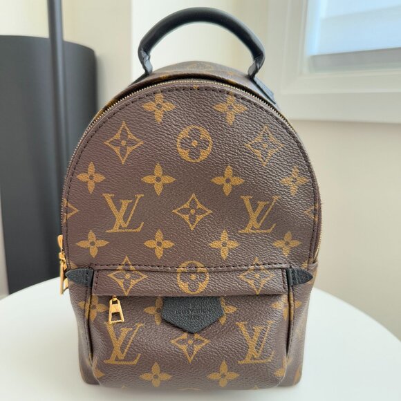 ❌ SOLD ❌ Louis Vuitton Palm Springs Mini - Monogram - Picture 1 of 11